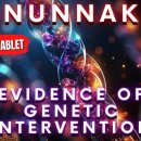 ﻿유전자 공학 증거: Enki가 아눈나키의 이미지로 우리를 만들었습니다 - 엔키와 닌마 태블릿 이미지