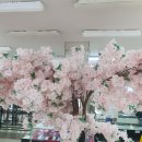 태화밧데리 | 울산 휴대폰 성지, '여기다 태화점'에서 친절 상담받고 스마트폰 졸업한 솔직 후기!