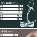술고래