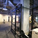 콕스다이어트 이미지