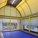 용인대최강태권도 이미지