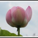 장부농장 이미지