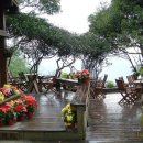 신풍초등학교 이미지