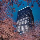 호텔25시 이미지