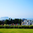 아이비 펜션 이미지