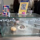 종로3가 을지로 사이 숨겨진 감성 카페 디피알티(DPRT) 후기