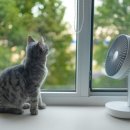 (주)제이오 이미지