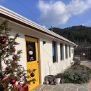 로스터리 연화 | ☕ 지연드립 커피추출로 유명한 '앵강연화'에서 힐링하고 | '상주은모래비치'에서 가슴 탁 트이다!