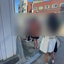 보보나마켓 | 미니커플샷 : 보보쇼즈, 타이니코튼, 타오, 봉쥬르...퍼프 등등 키즈 수입의류편집샵 오픈마켓 다녀왔어요