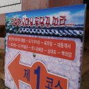 왕인촌