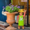 지혜당약국 이미지