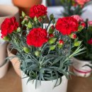 휴보청기 중랑 난청센터 이미지