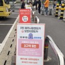 주식회사 제주로렌트카 | 제주도 렌트카 저렴한 곳 | 내돈내산 | 5군데 비교 제일 싼곳 | 오렌지렌트카 | K5 승차감