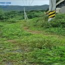 강진목장 이미지