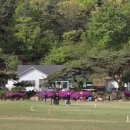 새(고경) 이미지