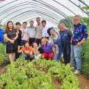 하계농장 이미지