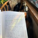 머물다가게 | 대전 독립서점_머물다가게