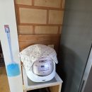 에코키즈스테이 이미지