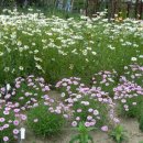 월성농장 이미지