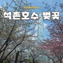 석촌호수 서호(카페 앞) | 서울 명소 석촌호수 벚꽃 포토존 주차장