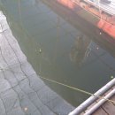 만정1호 이미지