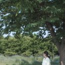 성복목장 네이버블로그