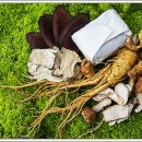 몸이편안한의원 이미지