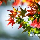 경건