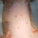 오션동물메디컬센터 이미지