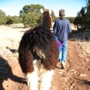 성경농장 이미지