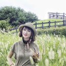 10/12(월) 남산 러블리 트레킹[혜인대장님] 이미지
