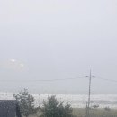 욜로하 스테이 이미지