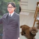 (주)코코 이미지