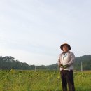 교동향교 Daum카페