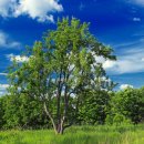 오늘하루 이미지