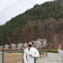 경희대박사 태산태권도 이미지