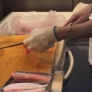 참치앤참치 이미지