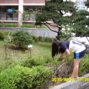 이리부천초등학교 이미지