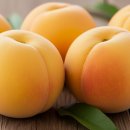 이은희 농장 이미지