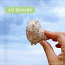 포항 월포해수욕장 근처 중식당 월포반점