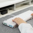 화이트피씨방 | 체리 MX 3.1 RGB 기계식 키보드 갈축 스위치 화이트 사용 후기