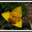 양양명주사동종 이미지