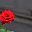 수요일 - 종로구 인사동길 36 | 수요일