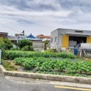 대경아파트앞 이미지