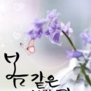 최신탕 이미지