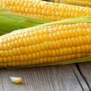 초당옥수수 찌는법 보관법 초당옥수수 전자레인지 익혀 먹는법 이미지