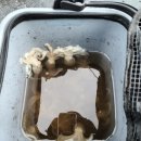 대박낚시터 이미지