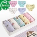 블라썸 캣 이미지