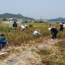 장산중학교 이미지