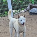건이